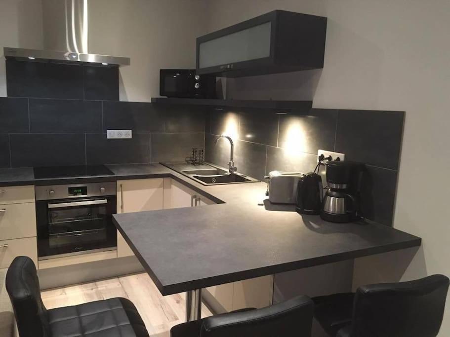 Appartement Touristique, Proche De La Cathedrale アルビ エクステリア 写真